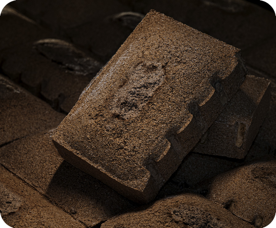 w66(中国区)最老牌官方网站