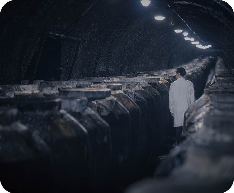 w66(中国区)最老牌官方网站