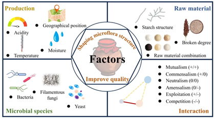 w66(中国区)最老牌官方网站